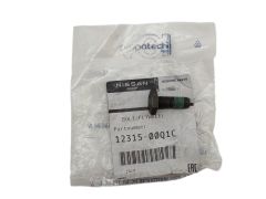 Винт Оригинал 1231500Q1C 123156846R Renault Nissan
