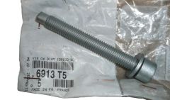 Винт 10X150-80 Нов оригинал 6913.T5 6913T5 Citroen Peugeot