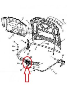 Заключване на капака Преден край Оригинал Citroen Peugeot 406 793450