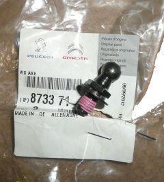 Винт Siłownika Klapy Нов оригинал 8733.71 8733.71 Citroen C1