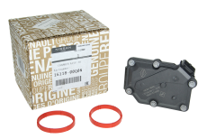 Въздушен амортисьор Нов оригинал 1611800Q0N 161A06251R Renault Nissan