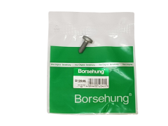 Винт N91096702 B10646 VW Audi Seat Skoda Borsehung