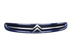 Манекен 7804J7 9632099177 Citroen Xsara Picasso 99-03 1013