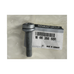 Винт за впръскване Нов оригинал 166626868R Renault