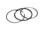 Бутални пръстени Направете Mercedes-Benz A2760300224 B10367 Borsehung