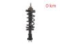 Амортисьор Преден край 543023828R 540100864R 93463333 Renault Trafic 3 2.0 DCI