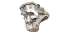 Скоростна кутия TL4A001 TL4001 Renault Megane 2 1.5 DCi 7701700539 1019