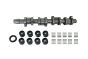 Разпределителен вал Пълна версия 038109101AH B11307 VW Audi Seat Skoda Borsehung